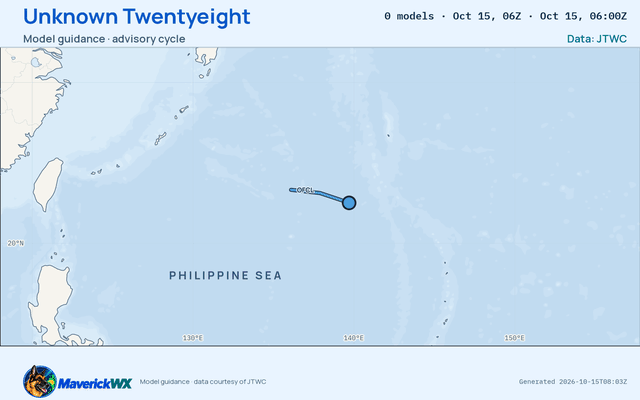 The models’ tracks, which are not a forecast for Unknown Twentyeight, JTWC Warning 14